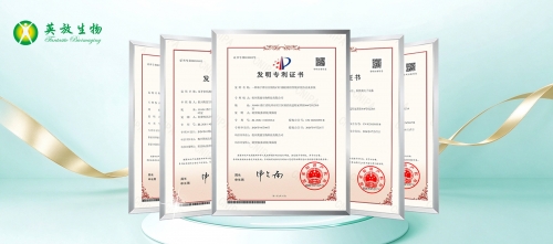 五项发明专利获授权！英放生物持续夯实医学影像质控技术能力