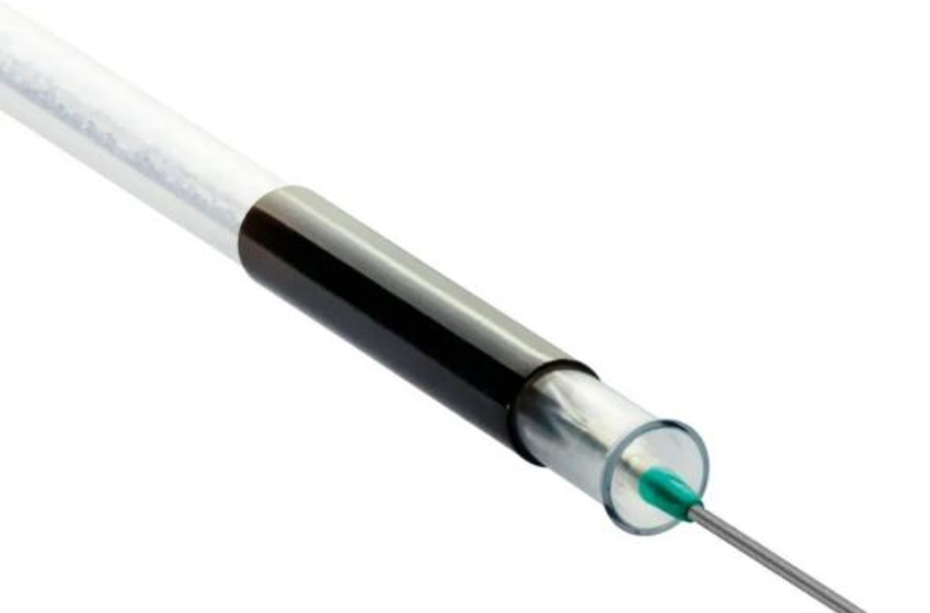 パクリタキセル薬剤溶出型末梢動脈用バルーンカテーテル